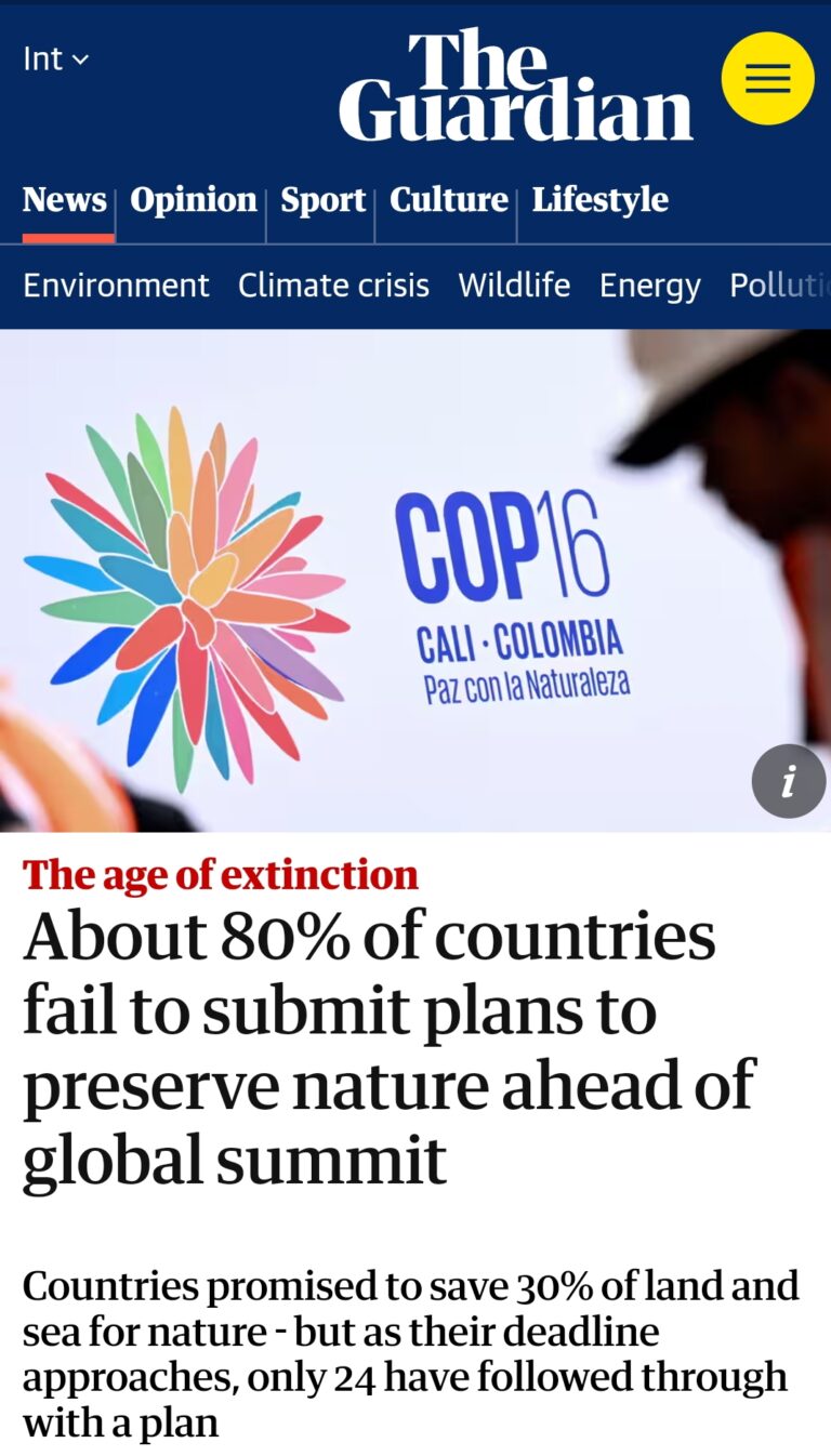 COP16: Nations Fail To Submit Biodiversity Action Plans As World Faces ...